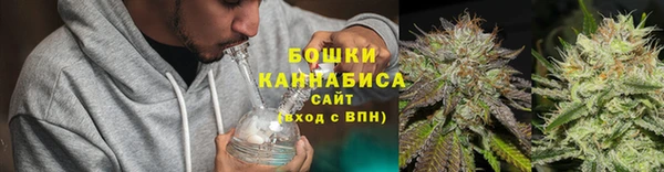 трава Инта