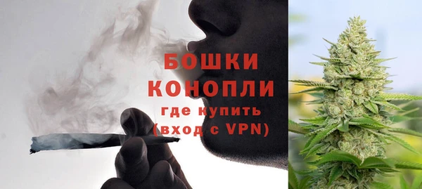 трава Инта