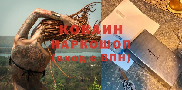 трава Инта