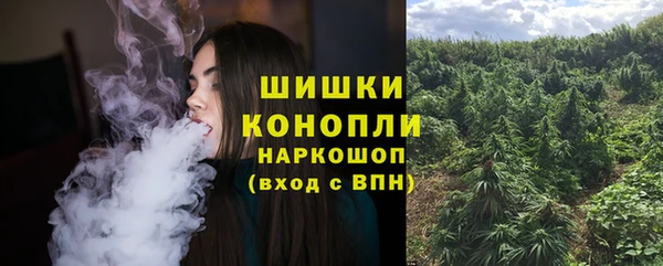 стафф Каменногорск