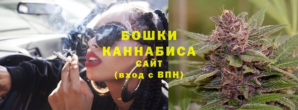 трава Инта