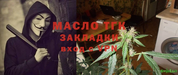 трава Инта