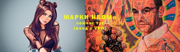 трава Инта