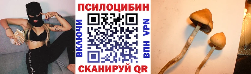 Галлюциногенные грибы мухоморы  наркошоп  Калтан 